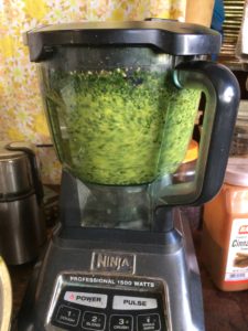 Chaya Pesto