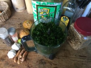 Blender of leaves with ingredients for pesto. Pepper, salt, garlic, turmeric, sour orange, lime, olive oil, balsamic vinegar, nuts and seeds. 